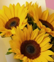 Ramo de 3 girasoles - Imagen 3