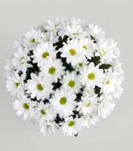 florero-de-condolencias-sencillodetalle